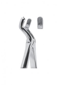 Extracting Forceps